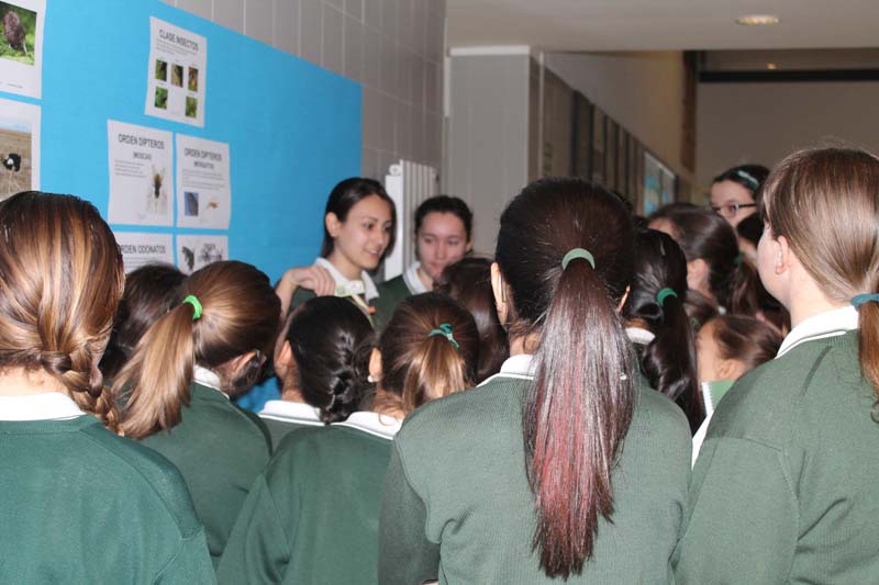 Semana Ciencias en Los Tilos